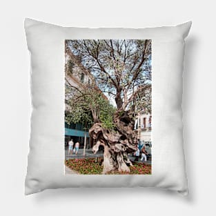 Olive Tree Pillow