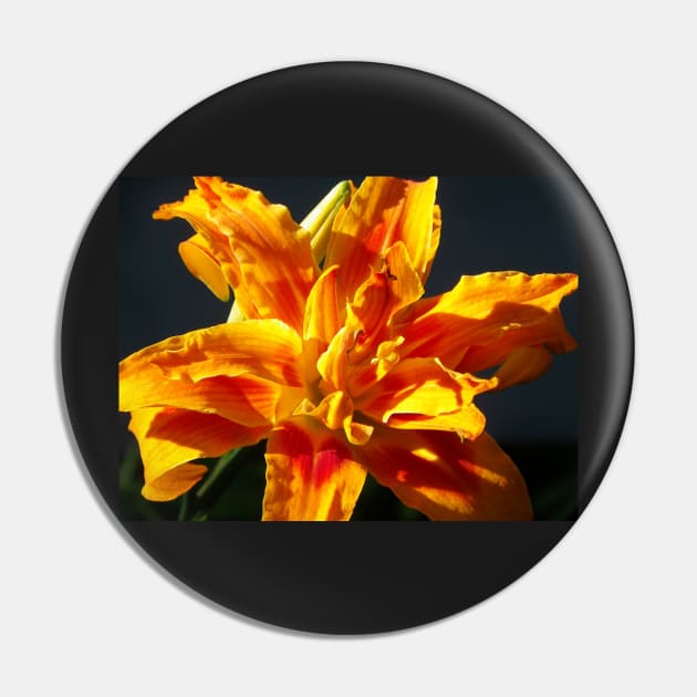 Lily Orange Flower Art on black background: Beautiful Home Decor, Phones, Face masks & Gifts Pin by tamdevo1