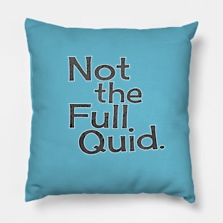 Not The Full Quid. Pillow