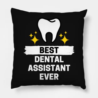 Best Dental Assistant Ever Pillow