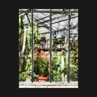 Greenhouse With Large Cactus T-Shirt