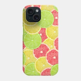 Colorful citrus slices Phone Case