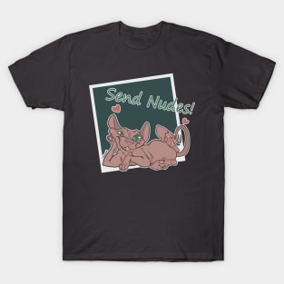 Send Nudes T-Shirt • Aesthetic Clothes Shop