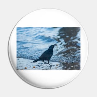 Grackle with a Fish Pin