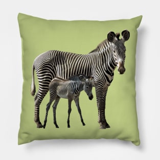 Grevy Zebra Mama with Baby in Kenya / Africa Pillow