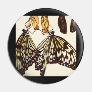 Chrysalis Pin