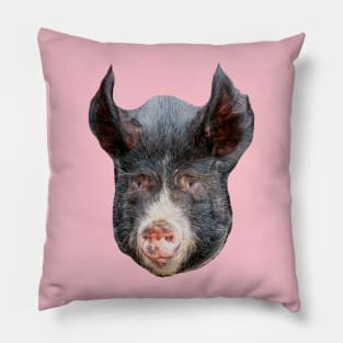Pigs head Pillow