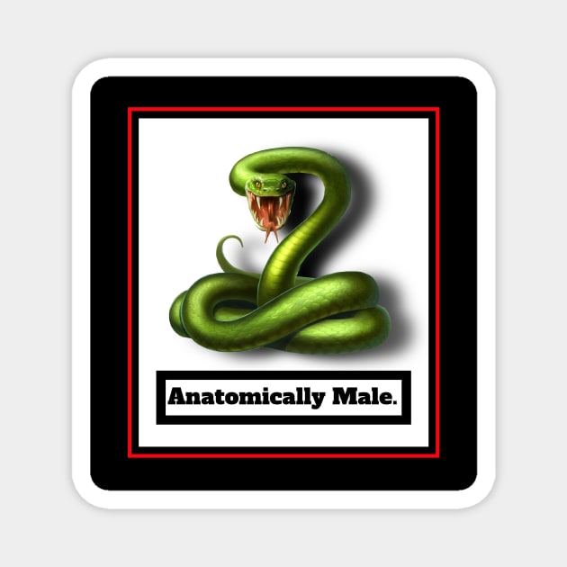 GENDER IDENTITY? ANATOMICALLY MALE Magnet by PETER J. KETCHUM ART SHOP