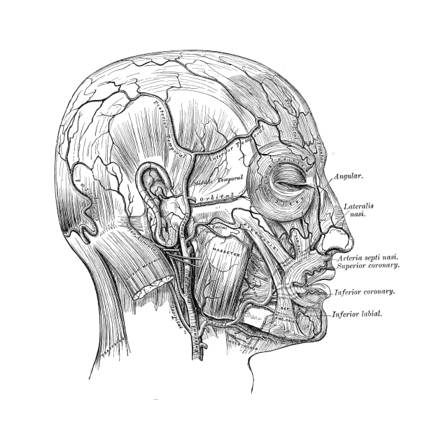 Human Body - Head by be yourself. design