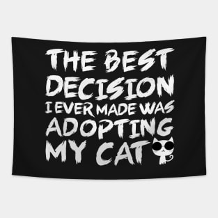 The best decision I ever made was adopting my cat Tapestry