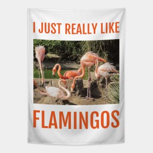 I Just Really Like Flamingos Tapestry