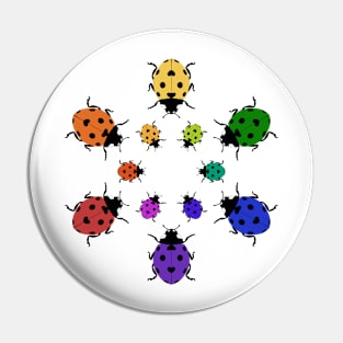 Ladybug Color Wheel Pin