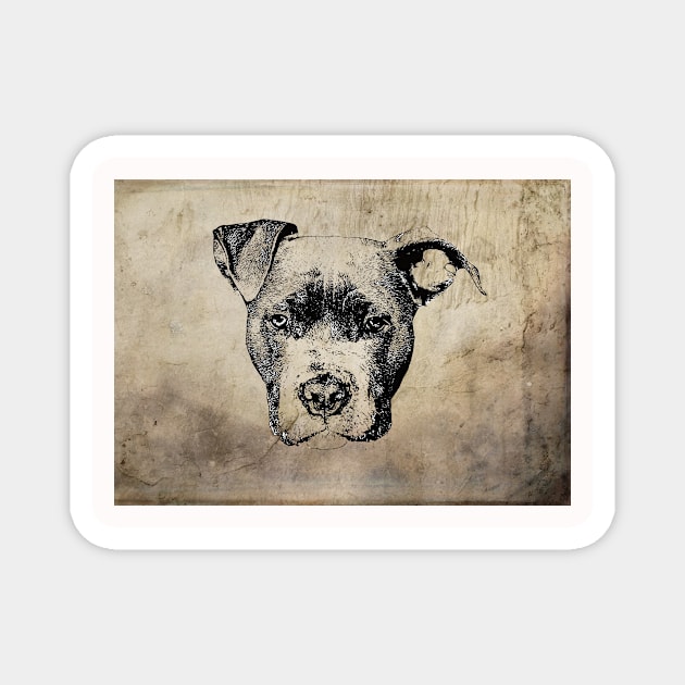 American Pit Bull Magnet by DoggyStyles