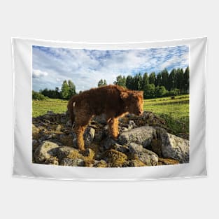 Scottish Highland Cattle Calf 1779 Tapestry