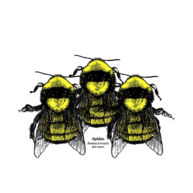 3 Bombus Bee Family, nature and insect lovers white or gray by pyxisapricots