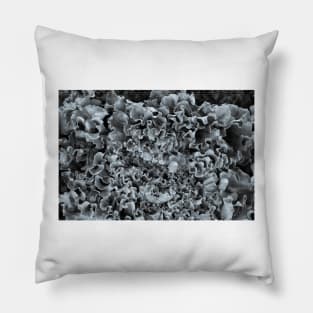 Lettuce Love BnW Texture Pillow