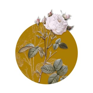 Vintage White Provence Rose Botanical Illustration on Circle T-Shirt