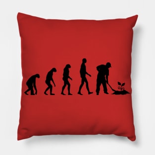 Evolution vegan Pillow