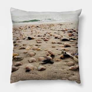 Seashell bed Pillow