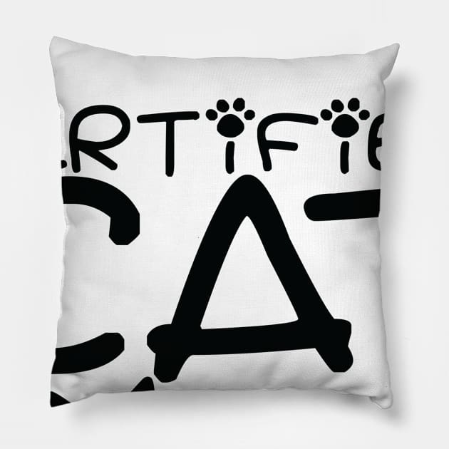 Cat lover Pillow by MRSY