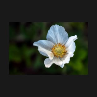 Botanicals - White Poppy T-Shirt