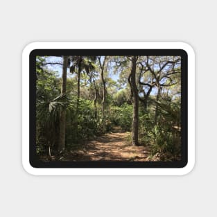 Florida Hike Magnet