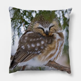 Sleeping Northern Saw Whet Owl - Ottawa, Ontario Pillow