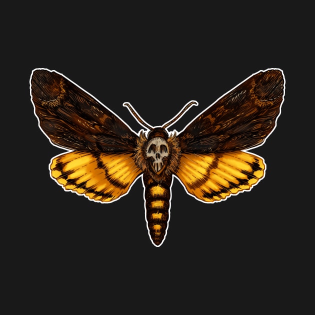 Death's Head Moth by CAdamsArt