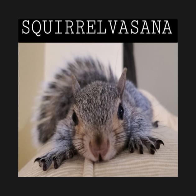 Squirrel Yoga by BubblesTheSquirrel