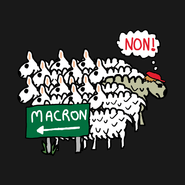 Anti Macron by Mark Ewbie