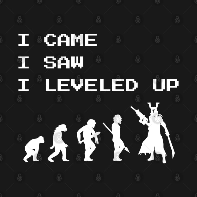 I Came I Saw I Leveled Up Gamer Video Games Fan by atomguy