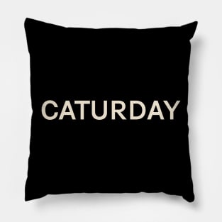 Caturday On This Day Perfect Day Pillow