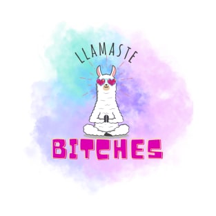 Llamaste Bitches T-Shirt