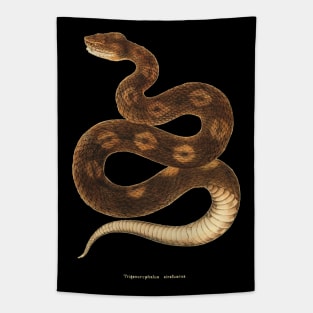 Terracotta snake Tapestry