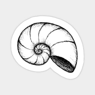 Spiral Nautilus Magnet