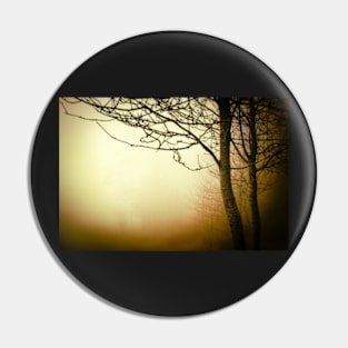 Warm golden fog with trees Pin