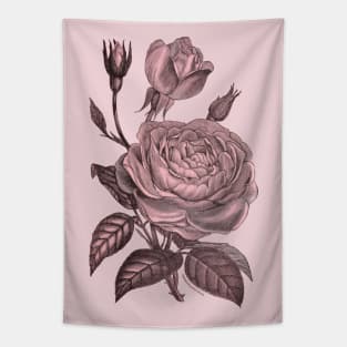 Pink Rose Flower Vintage Illustration Tapestry