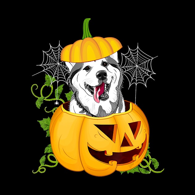 Funny Cute Pumpkin Halloween Dog Witch Pumpkin Husky Dog by JaydeMargulies