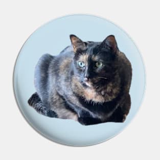 Kitty Pin