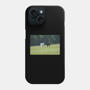 Wild Mare and Foal Phone Case