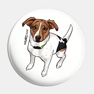 Zuzu - Dogs of Redstone, Colorado Pin