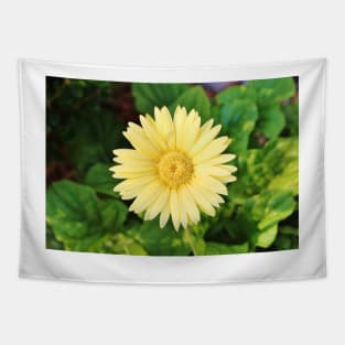 Pale Yellow Daisy Tapestry