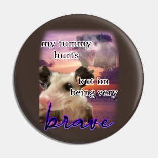 i have a tummy ache but im being very brave possum Pin