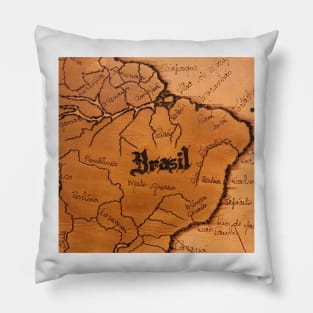 Brazil Map in Leather Pillow