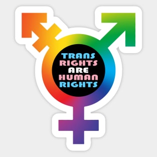 trans rights Sticker for Sale by robinauts