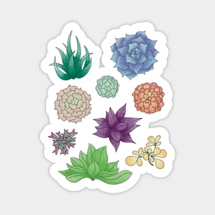 Succulent Whimsy Collection Magnet