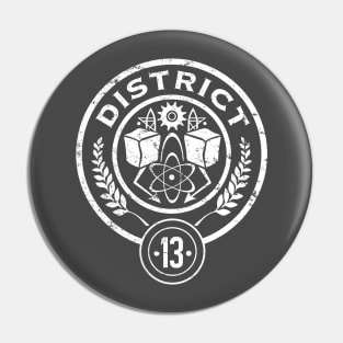 District 13 Pin