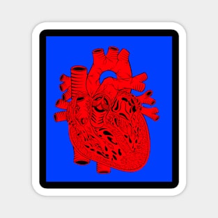 Anatomical Heart Magnet