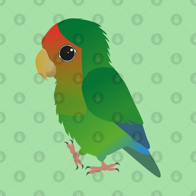 Cute peach faced lovebird by Bwiselizzy