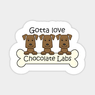 Gotta Love Chocolate Labs Magnet